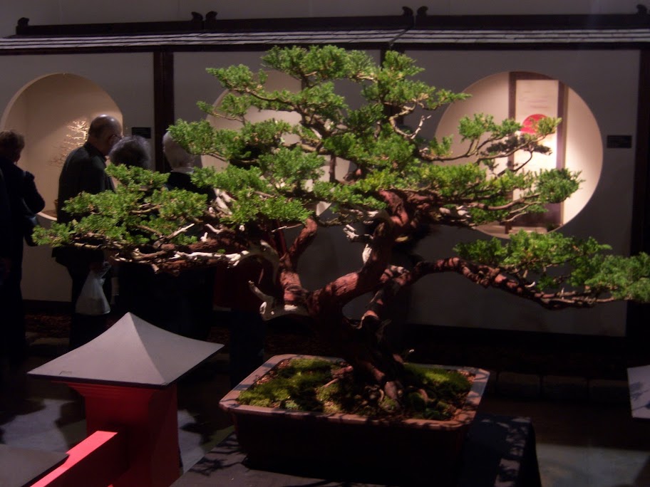 Philadelphia Flower Show Bonsai '09